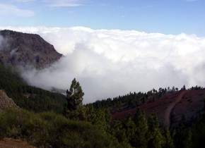 Auf der Insel Teneriffa