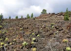 Ein Fläche mit Lava auf Teneriffa