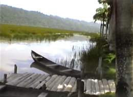 In den Llanos von Venezuela