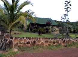 In und um das Campamento Ecologico Ya-koo