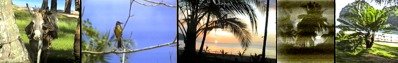 Venezuela bietet viele reizvolle Pltze und manche schne Playa