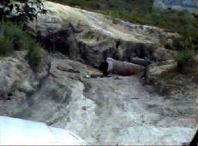 Erosion extrem: Das Loch ist die Strae!